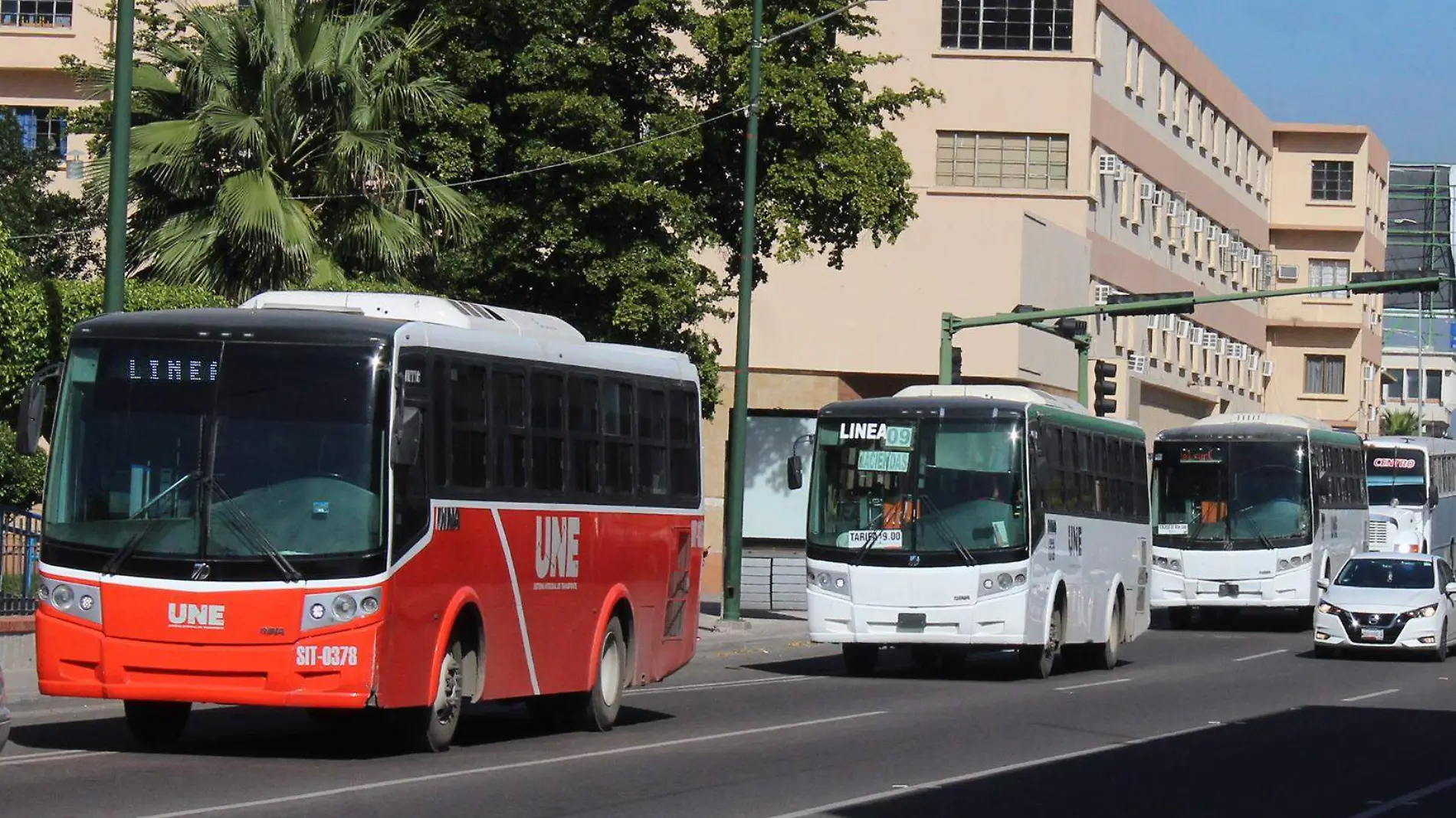 3Camiones UNE - Mike Acosta1